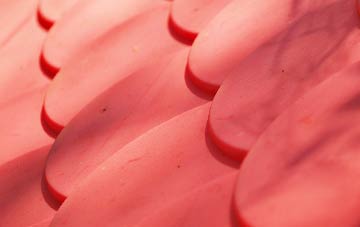 Avonwick plastic roof costs