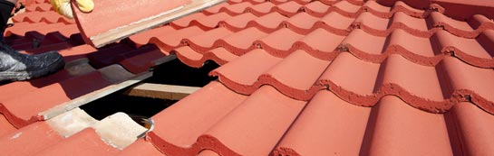 compare Avonwick roof repair quotes